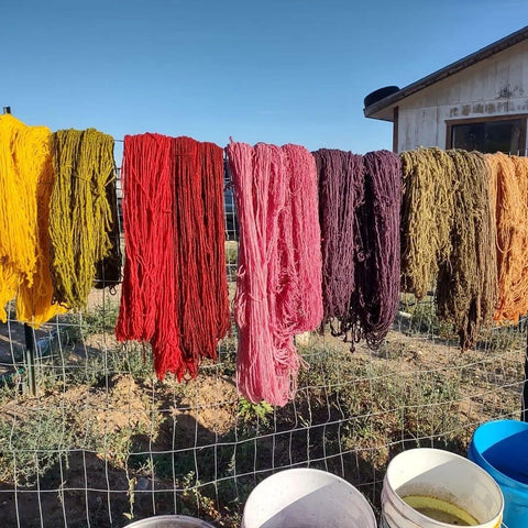 CLASS - Natural Dyes and Eco-Printing with Tyrrell Tapaha