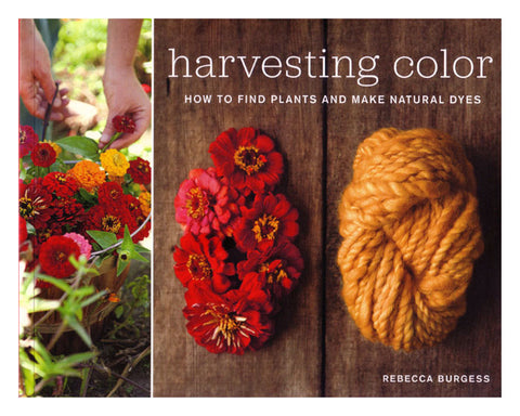 Harvesting Color: How to Find Plants and Make Natural Dyes